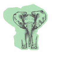 faunakids elephant fauna baby elephant faunaie Sticker
