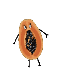 oykfolio food sweet papaya oykfolio Sticker