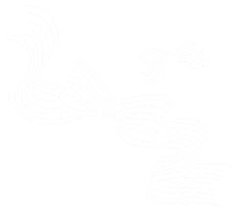 Ribbon リボン Sticker