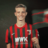 Bundesliga Flag GIF by FC Augsburg 1907