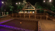 cmt GIF by Redneck Island