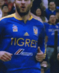 Liga Mx Tigres GIF