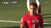 Copa America Centenario Mexico GIF by Univision Deportes