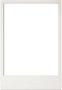 Ehfeuro2020 Sticker by EHF