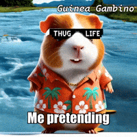 GIF by Guinea Gambino