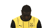 Look Up Borussia Dortmund Sticker by Bundesliga