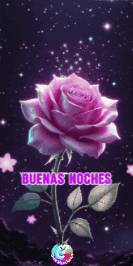 Amigos Flores GIF by Murcianys LLC