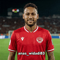 Football Brazil GIF