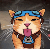 ikadakat overwatch overwatch meme jetpack cat GIF