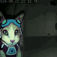 ikadakat overwatch ow2 overwatch meme jetpack cat GIF