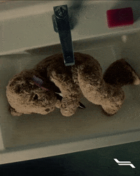 Flytoget bear sick teddy sink GIF