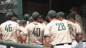 GIF by Jacksonville University