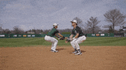 Baseball Backflip GIF by RiverHawk Sports