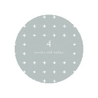 Baby 1 Month Old Sticker by kikki.K