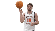 Cnmb Ballspin Sticker by Carson-Newman Athletics