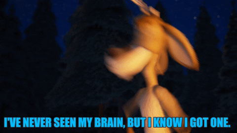 GIF by Sony Pictures Animation