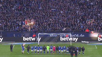 Happy Soccer GIF by FC Schalke 04