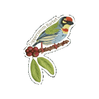 Arncyn Sticker