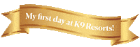 Dog Love Sticker by K9Resorts