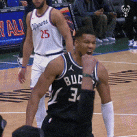 Basketball Nba GIF by Milwaukee Bucks