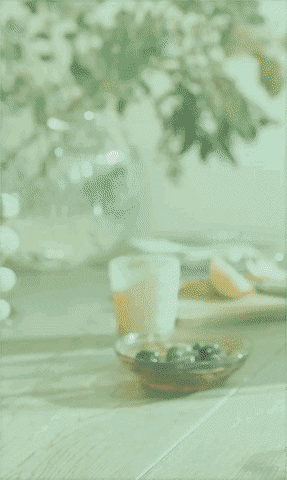 BasilHaydens giphyupload cheers drinks cocktail GIF