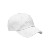 Shop Swag Sticker by SHANE