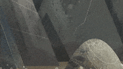 #puffin #rock #puffinrock #seagulls #uptonogood GIF by Puffin Rock