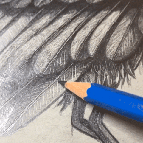 JadeFiliault giphyupload GIF