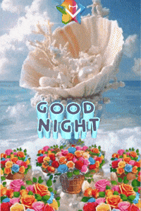 Good Night Flores GIF by Murcianys LLC