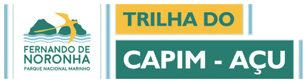 Fernandodenoronha Sticker by EcoNoronha