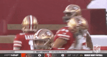 2019 Nfl Football GIF by NFL
