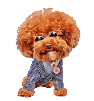 Love Me Hello Sticker