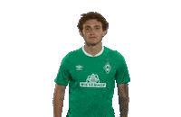 Josh Sargent Football Sticker by SV Werder Bremen