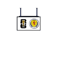 World Cup Football Sticker by Pudgy Penguins
