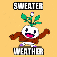 Freezing Sweater Weather GIF by Magic Eden