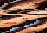 glitch ar GIF
