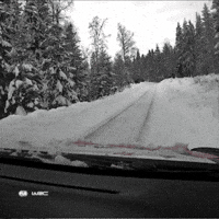 Rally Sweden Snow GIF by FIA World Rally Championship