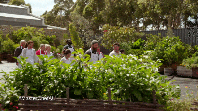 Mc15 GIF by MasterChefAU