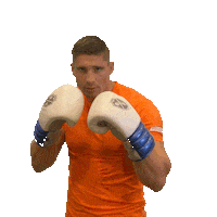 nocnsf sport rico nsw teamnl Sticker