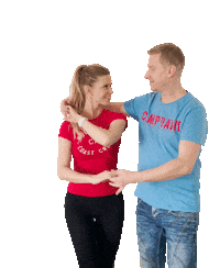 TanzschuleHerrmannNebl dance tanzen dresden tanzschule Sticker