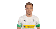 Patrick Herrmann Bundesliga Sticker by Borussia Mönchengladbach