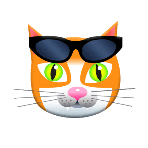 Sorry Cats Sticker by PEEKASSO