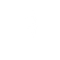 Visa Card Dance Sticker by Fampay India