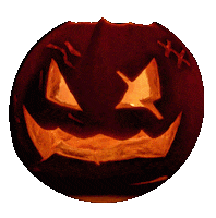 Trick Or Treat Halloween Sticker