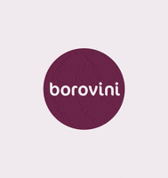 GIF by borovini