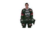 aevpanther celebration hockey jubel celly Sticker