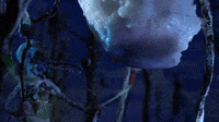 The Misty Flower Clip 7