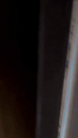 cuteanimalland giphyupload GIF