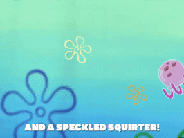 season 4 the pink purloiner GIF by SpongeBob SquarePants