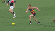 round 20 afl GIF by Adelaide Crows